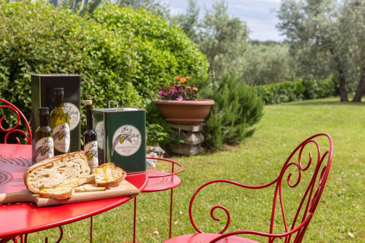 Agriturismo Podere Sertofano Barberino di Val dʼElsa Εξωτερικό φωτογραφία